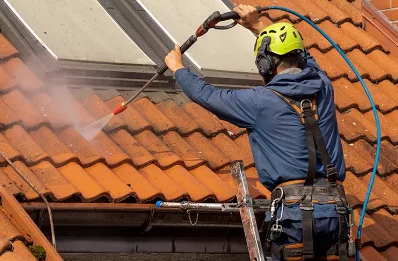 Démoussage et hydrofuge de toiture à Thésy